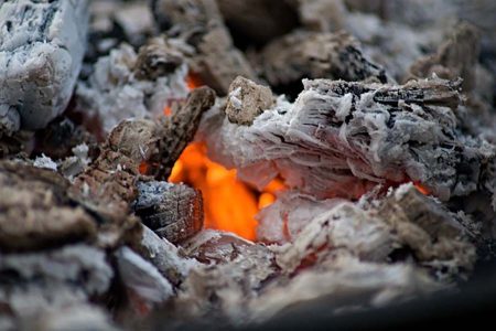 Как повысить урожайность смородины