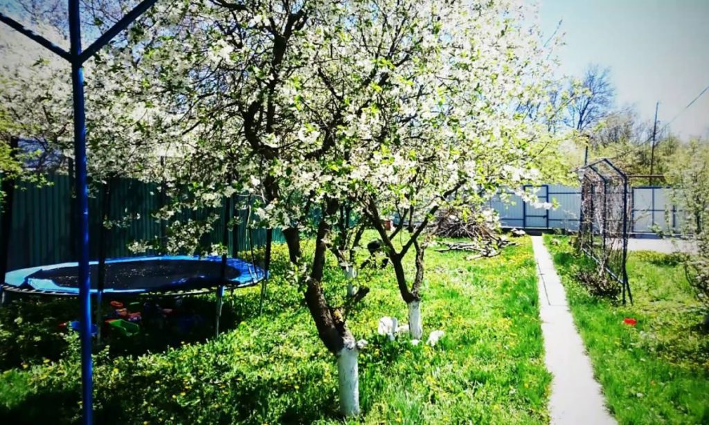 Майские заботы дачника в саду, огороде и цветнике