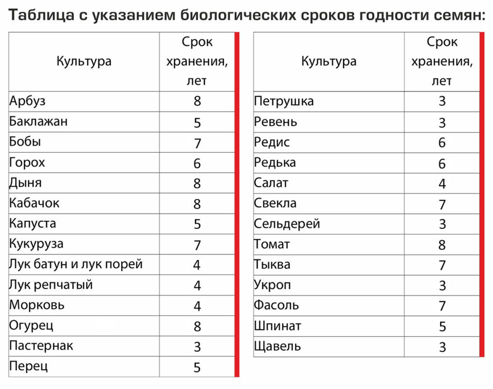 Самостоятельная заготовка семян овощей