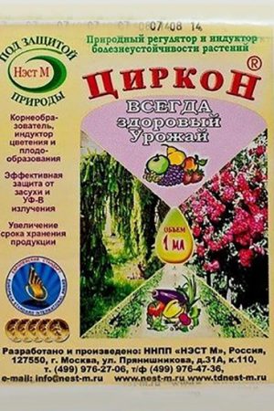 Секреты успешного укоренения черенков