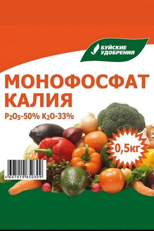 Уход за виноградом в августе