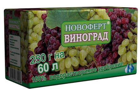 Уход за виноградом в августе