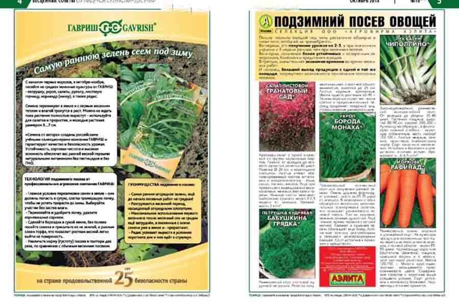 Эффективные грядки - проведение подзимнего посева