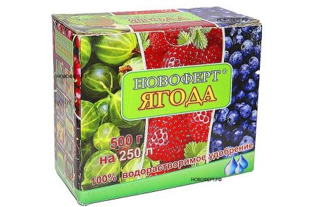 Уход за виноградом в августе