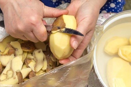 Как повысить урожайность смородины