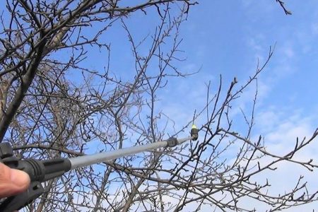 Майские заботы дачника в саду, огороде и цветнике Майские заботы дачника в саду, огороде и цветнике