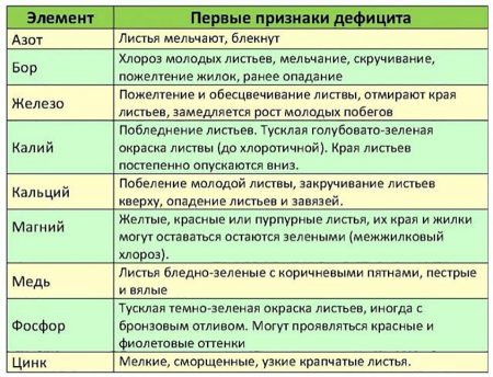 Майские заботы дачника в саду, огороде и цветнике Майские заботы дачника в саду, огороде и цветнике