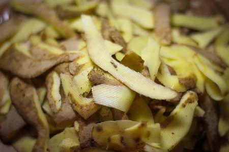 Как повысить урожайность смородины