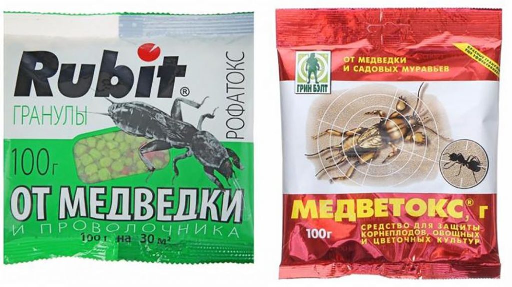 Дачные работы в июне - самые важные дела