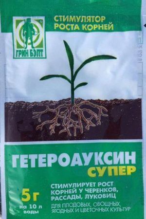 Секреты успешного укоренения черенков