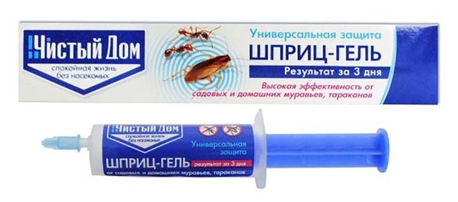 Как повысить урожайность смородины