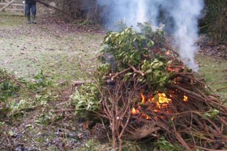 Майские заботы дачника в саду, огороде и цветнике Майские заботы дачника в саду, огороде и цветнике