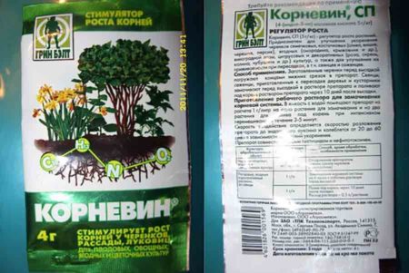 Эффективные грядки - проведение подзимнего посева Эффективные грядки - проведение подзимнего посева