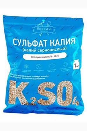 Как повысить урожайность смородины