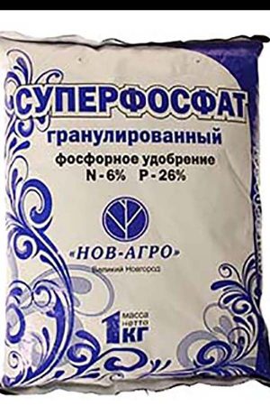 Как повысить урожайность смородины