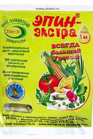 Уход за крыжовником: все секреты для больших урожаев Уход за крыжовником: все секреты для больших урожаев