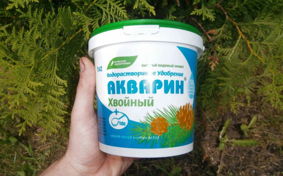 Акварин для хвойных