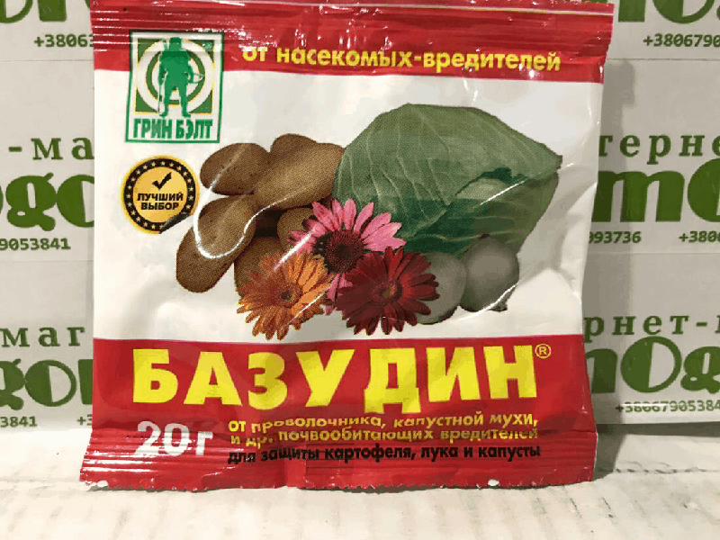 Базудин