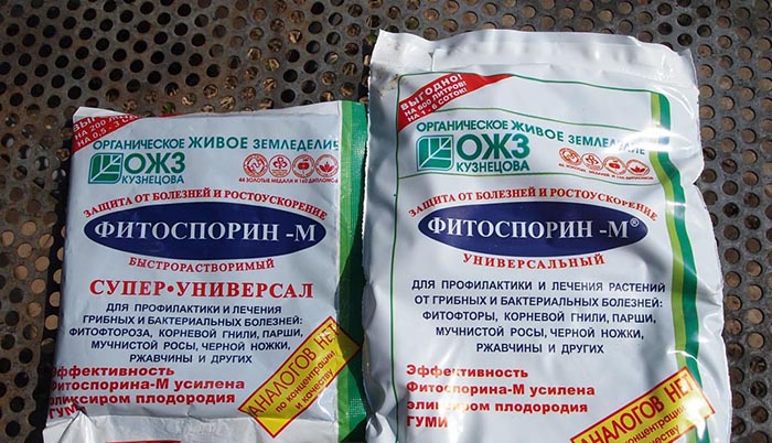 Препарат Фитоспорин
