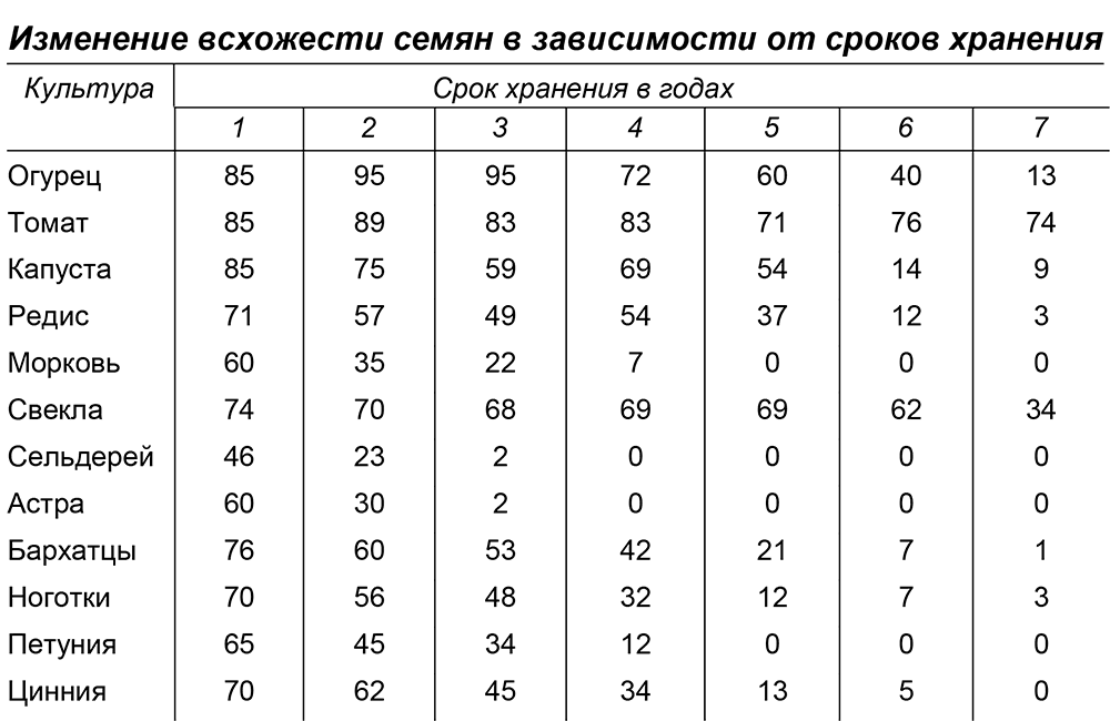 Самостоятельная заготовка семян овощей