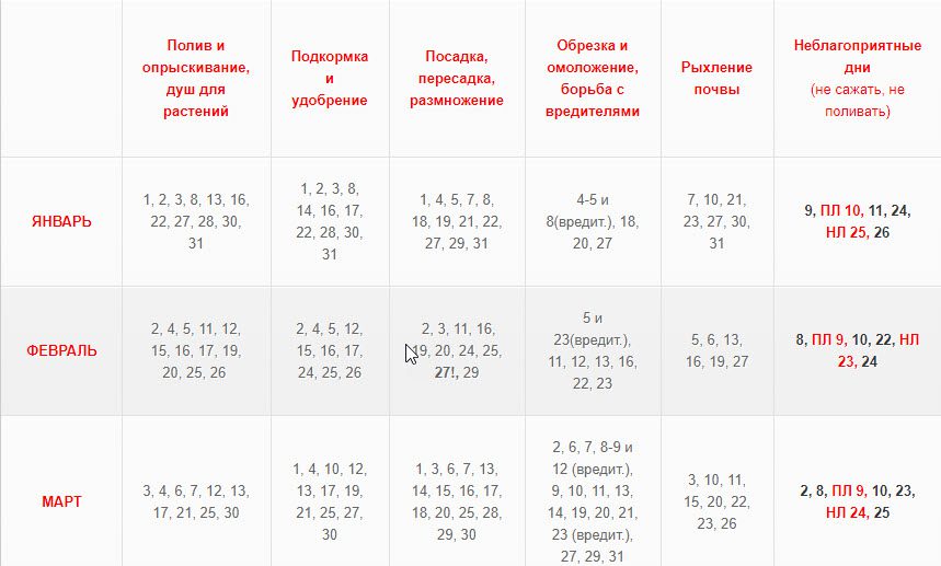 Лунный календарь на март 2020 года садовода и огородника цветовода