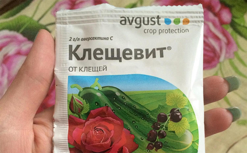 Клещевит от клещей