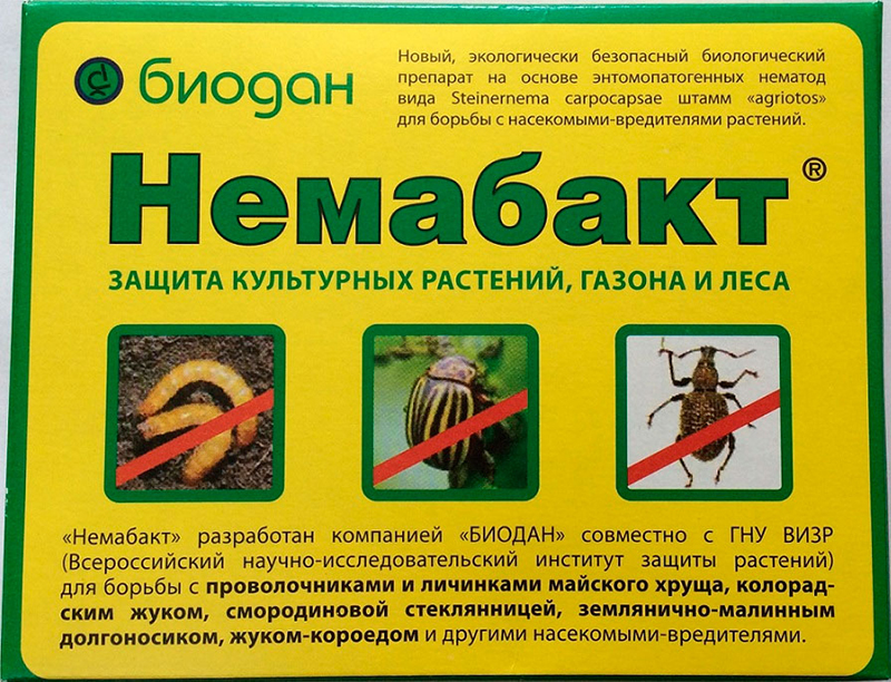 Немабакт