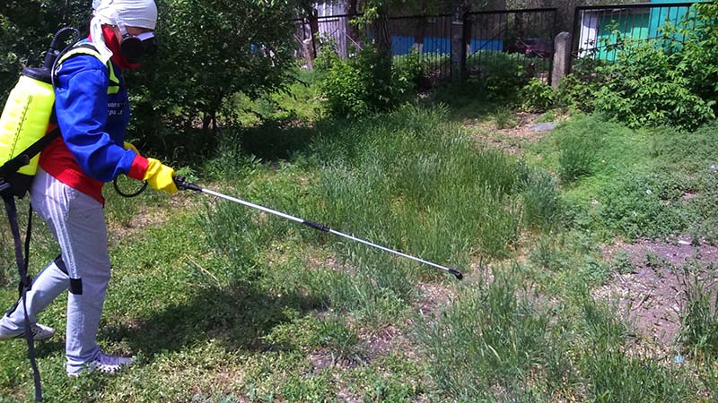 Обработка приусадебного участка от клещей