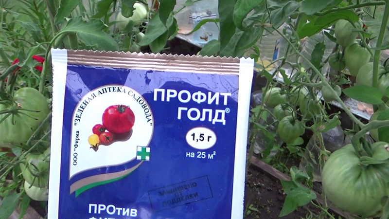 Профит Голд