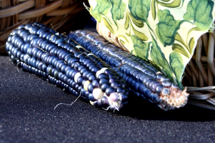 Синяя кукуруза