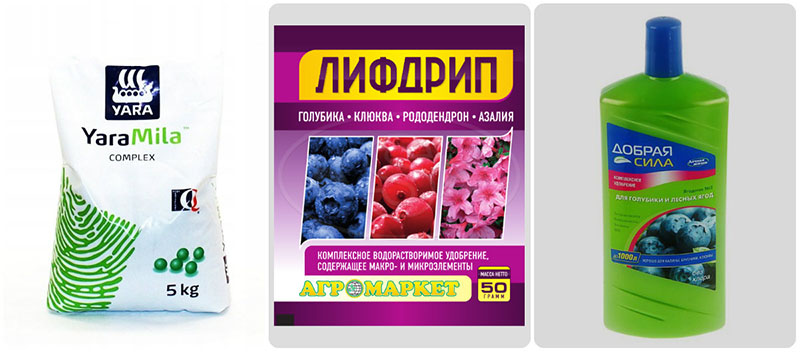Удобрение для голубики