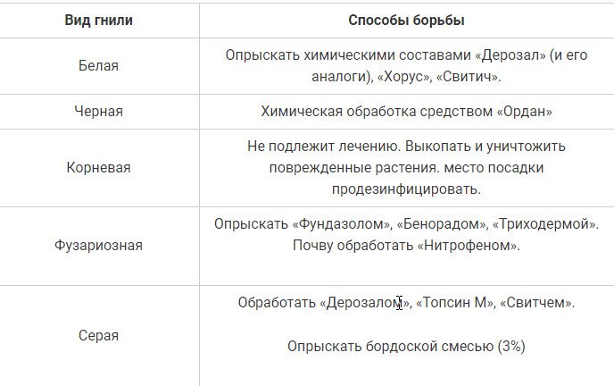 Гниет клубника на грядке: что делать?