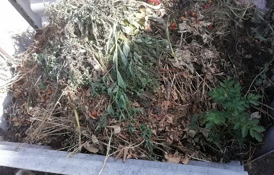 Компост на огороде и его структура. Примеры рецептов компоста