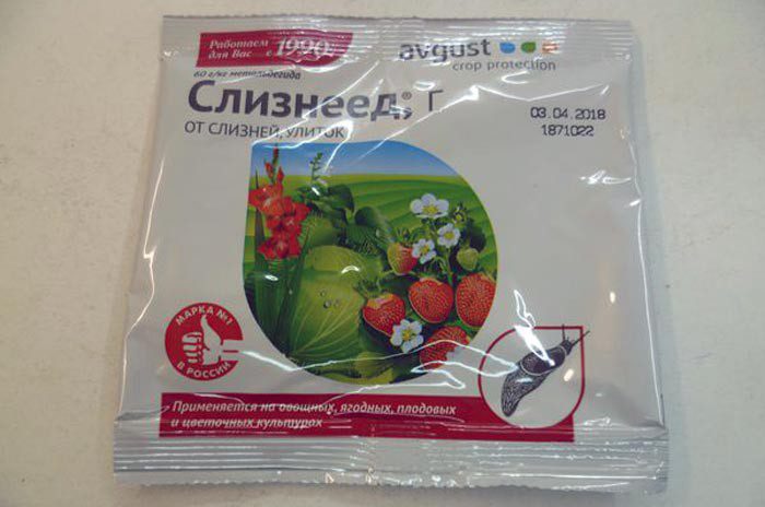 Методы борьбы со слизнями на капусте слизнеед Методы борьбы со слизнями на капусте