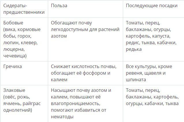 Посадка сидератов осенью под зиму