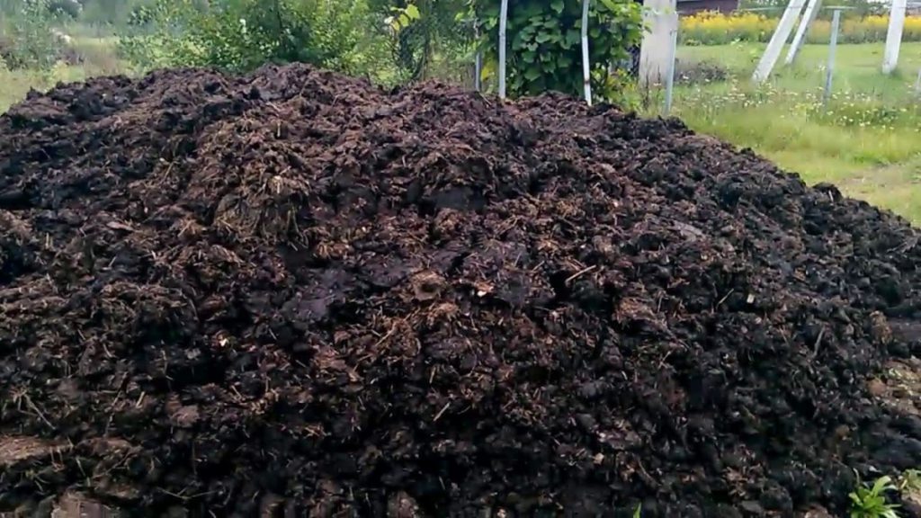 Удобрение земли осенью под зиму