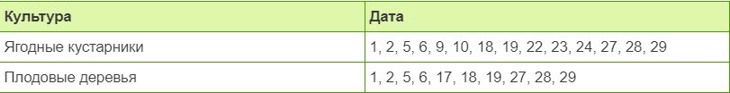 Фазы луны в ноябре 2020 года по дням для посадки