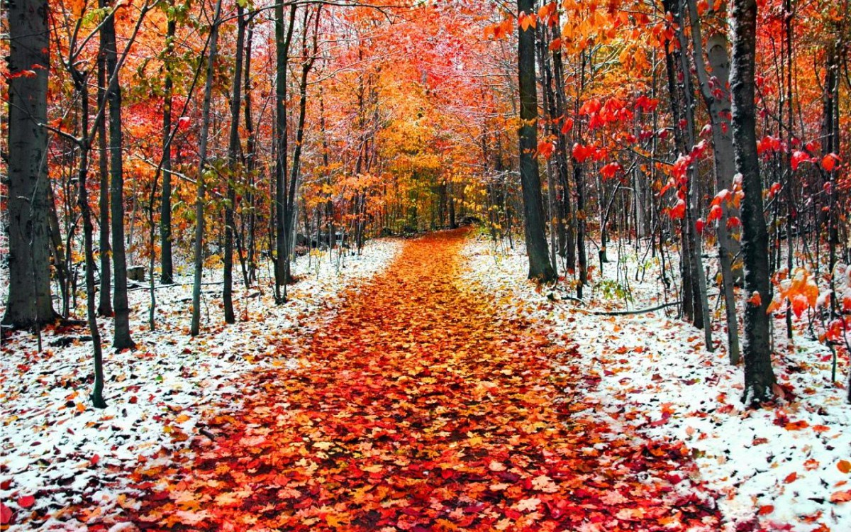 Когда будет убывающая луна в ноябре 2020 года в России