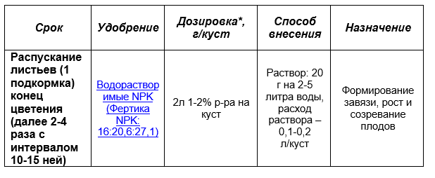 Голубика. Уход и минеральное питание на дачном участке