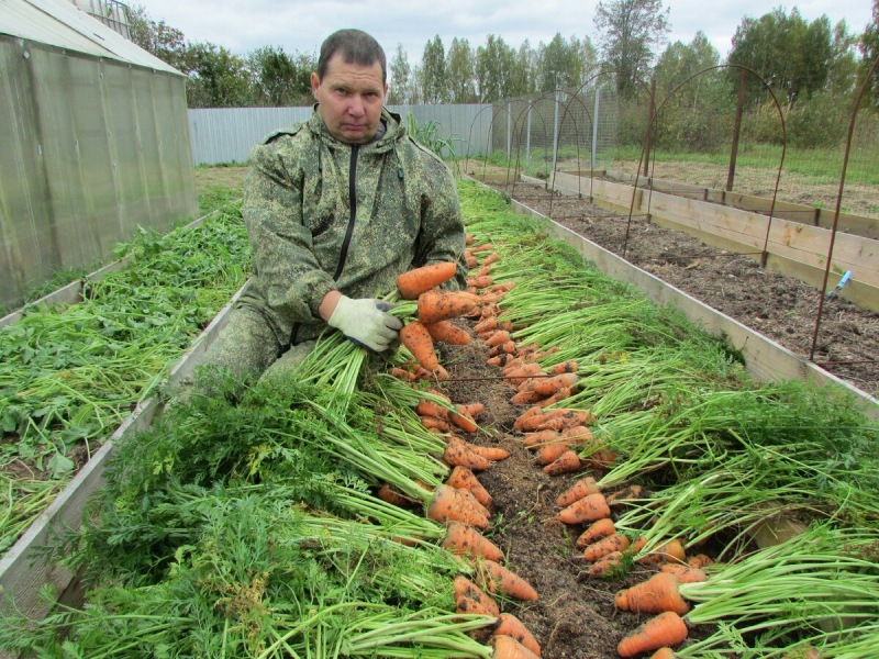 Выбираем варианты земледелия на своем участке