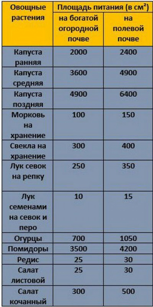 На каком расстоянии сажать растения друг от друга