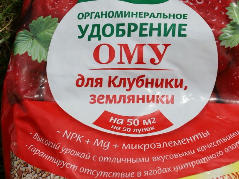 Обильный урожай без химии — экологическое садоводство