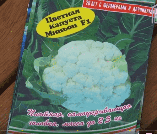Paket s semenami cvetnoj kapusty