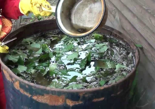 Народные средства