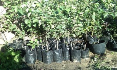 foto15678-3 (1)