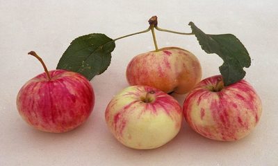 foto15729-2 (3)