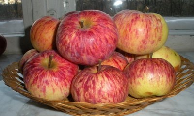 foto15729-2 (4)