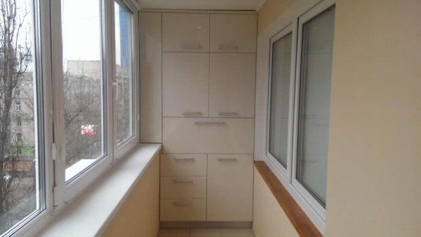 Время сбора урожая черной редьки