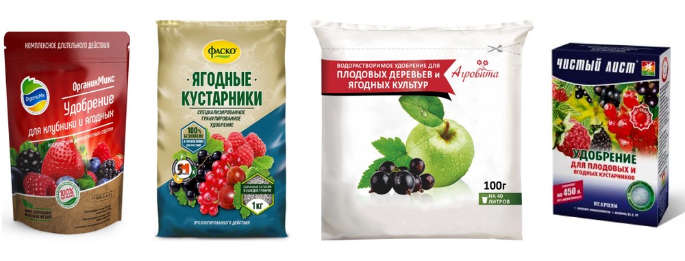 Комплексные удобрения для подкормки смородины