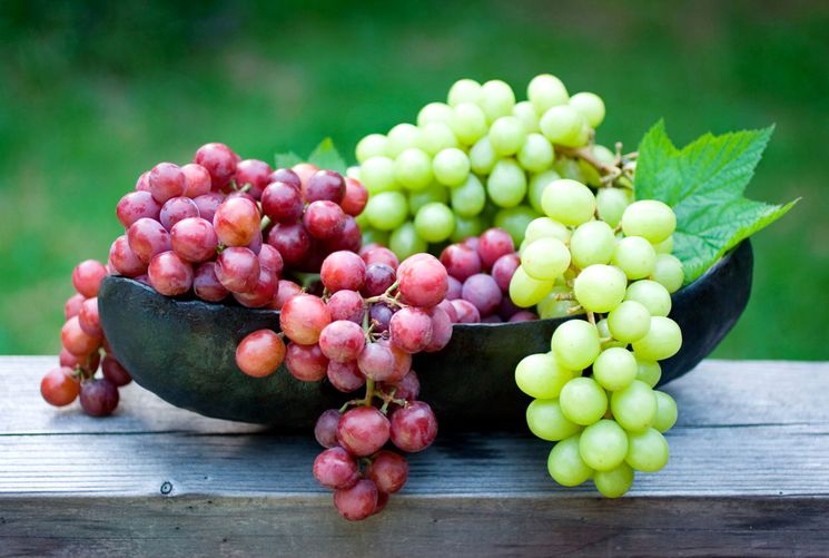Самые популярные сорта для южных районов
